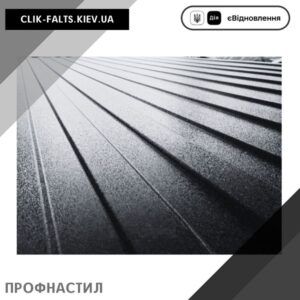 цена Профнастил КварцМат 0,45 мм — Ral 9005